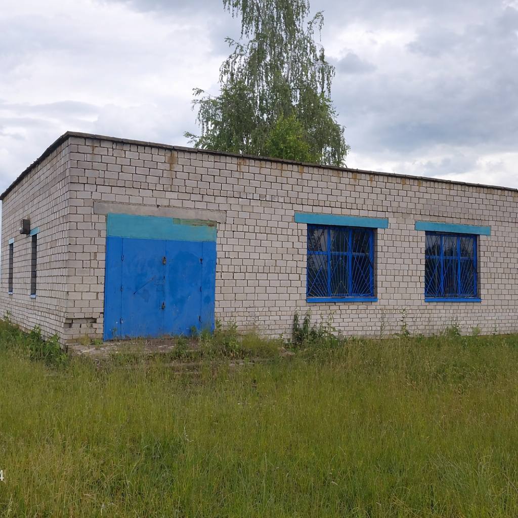 Здание магазина д.Репки