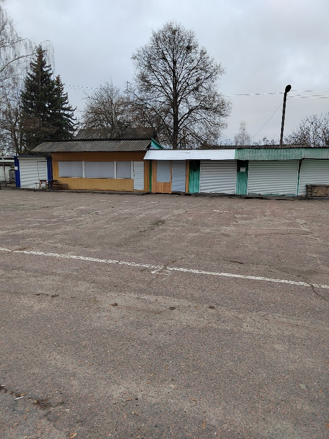 Рынок г.Наровля