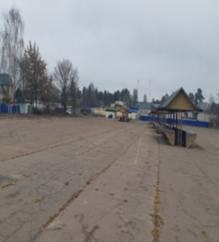 Рынок г.Светлогорск